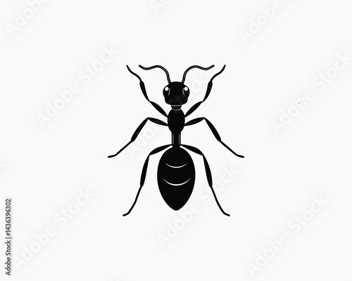 ant isolated on white background