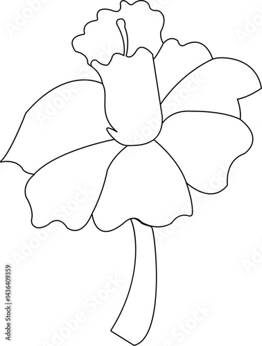 Floral art,flower art 