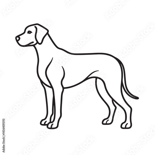Great Dane Giant Dog Outline Vector