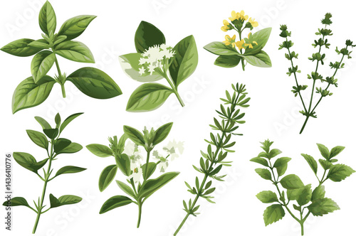 Watercolor botanical illustration of diverse plant specimens with green leaves and yellow flowers in a delicate vintage style on white background