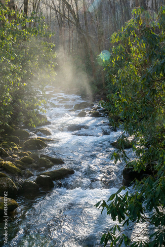Fog And Rushing Water Of Andrea Branch In Great Smoky Mountains