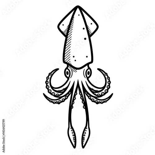 Detailed illustration of a squid in a vintage style  
