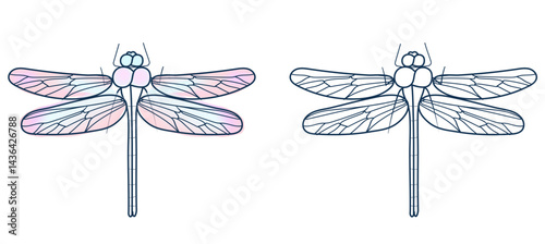 Dragonfly set illustration isolated on white background