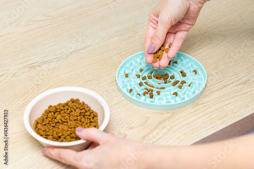 a breeder pours cat food into a slow feeding bowl. 