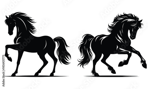 horse vector illustration