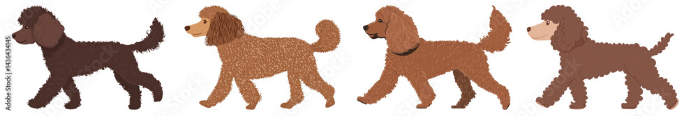 PNG Colorful poodle illustrations parade, element set on transparent background PNG Colorful poodle illustrations parade, element set on transparent background