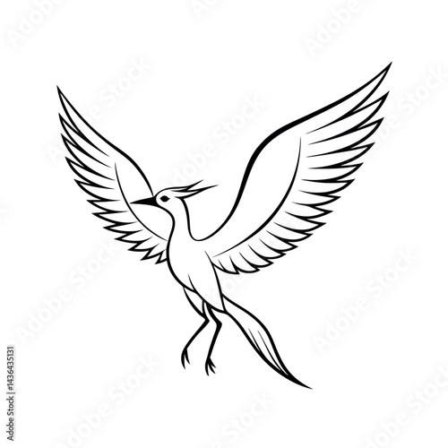 outline of flying bird with extended wings on white