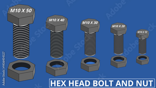 Different Sizes of Hex head nut and bolt isolated on a blue background.  It fastens components using a six-sided bolt head and matching nut 