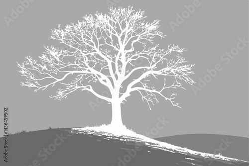35 Solitary white tree, hilltop, misty landscape, ethereal glow, panoramic view, surreal atmosphere, monochromatic palette, stark contrast, bare branches, foggy background, dreamlike scene, isolated b