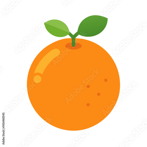 orange fruit vector illustration