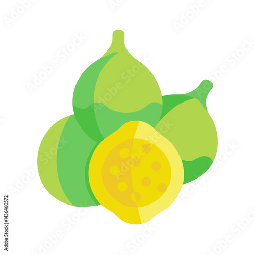 vector illustration of an orange fruit