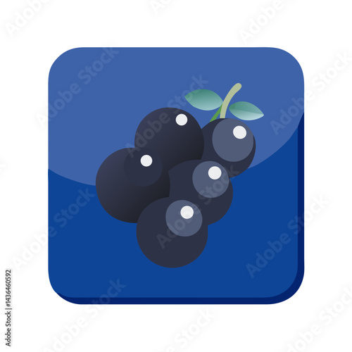 blueberries on white background