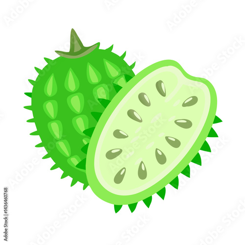 illustration of a slice of kiwi