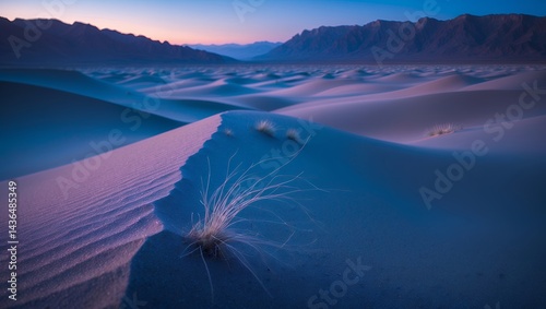 Fototapeta Naklejka Na Ścianę i Meble -  Sand dunes landscape with grass and mountains