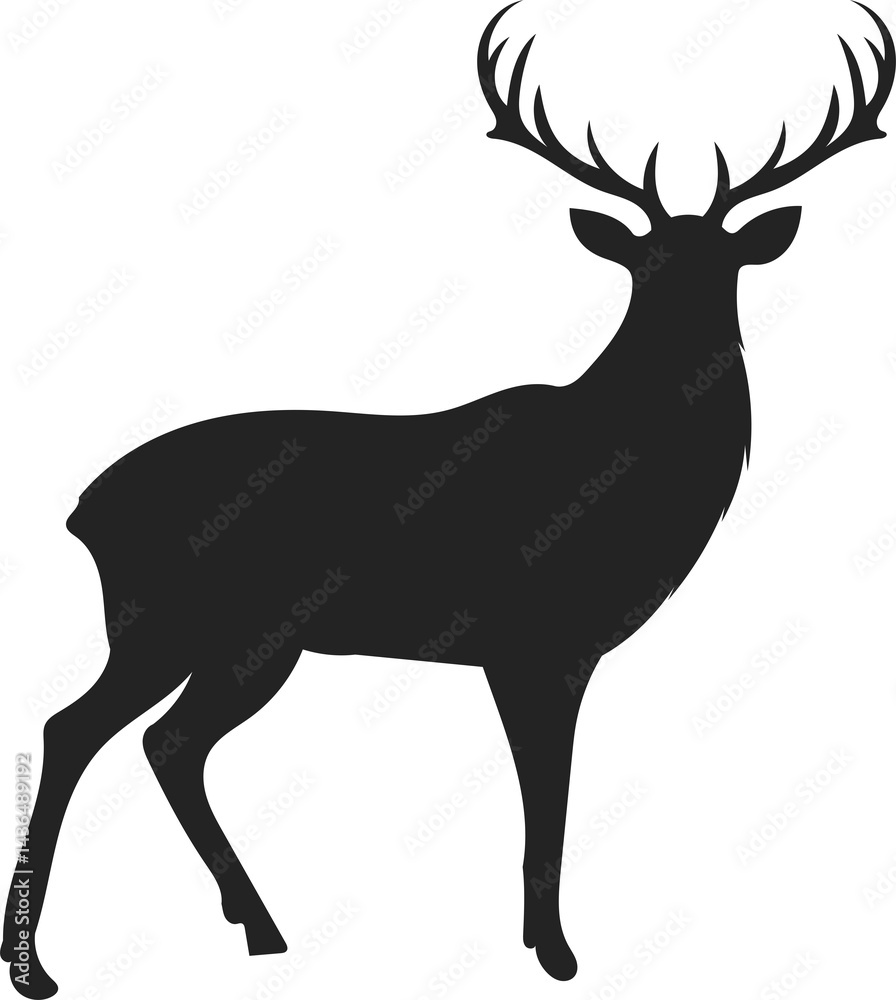 Fototapeta premium deer