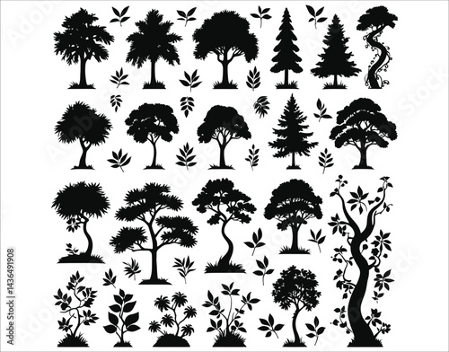 Forest Scenery in Silhouette Format