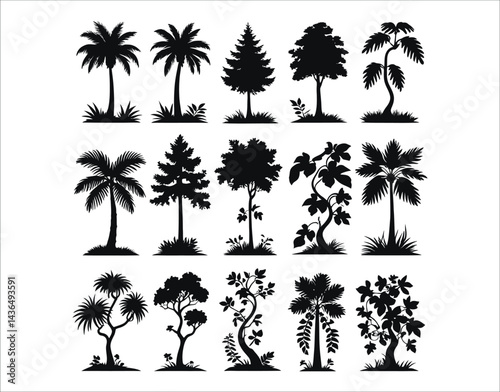 Vector Jungle Forest Silhouette Centered