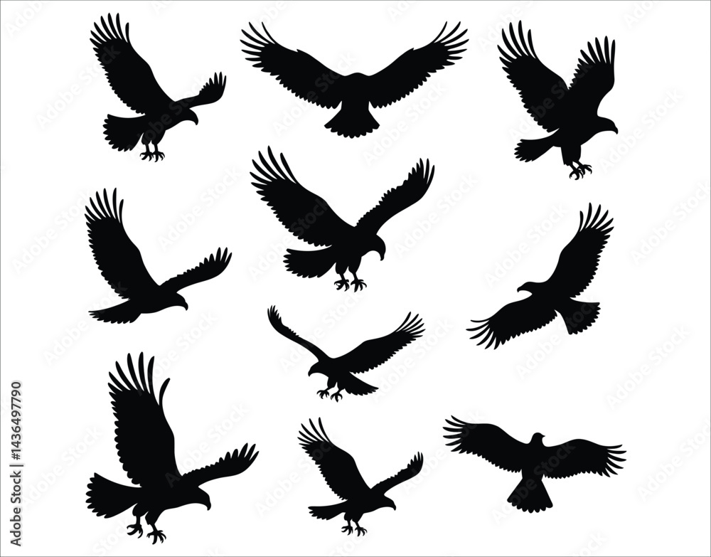Obraz premium Battle-Ready Eagle Silhouettes