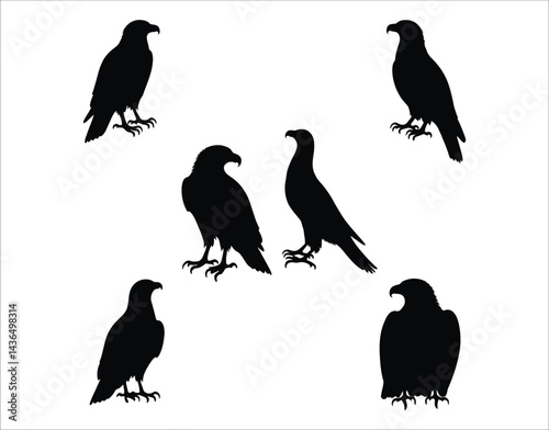Detailed Eagle Silhouette Vector Set