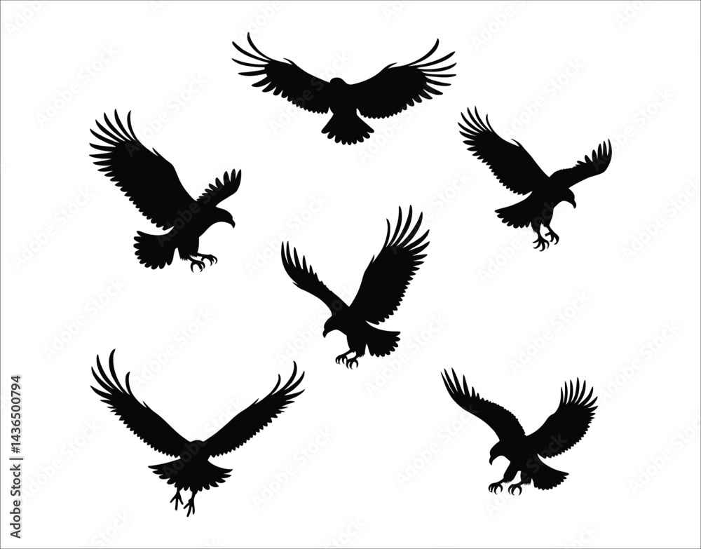 Fototapeta premium Soaring Eagles Silhouette Collection