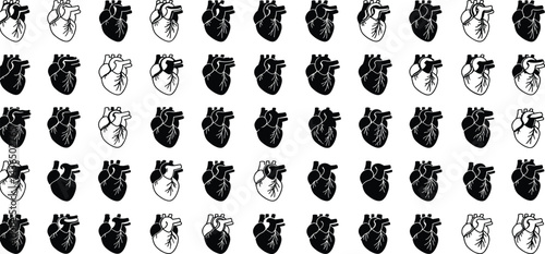 
Anatomical heart vector silhouette icon set. heartbeat, cardiovascular, anatomy, medical, health, cardiology