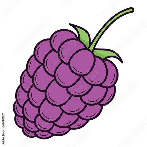 Vibrant purple raspberry