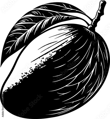 Mango Fruit Vector. Black Icon. mango icon vector illustration with white background. Mango icon silhouette black.