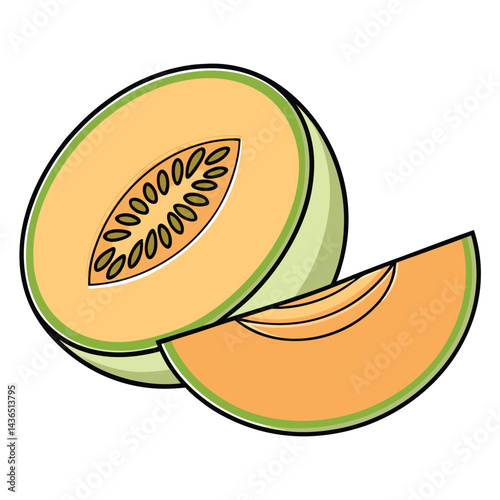 Cantaloupe slice