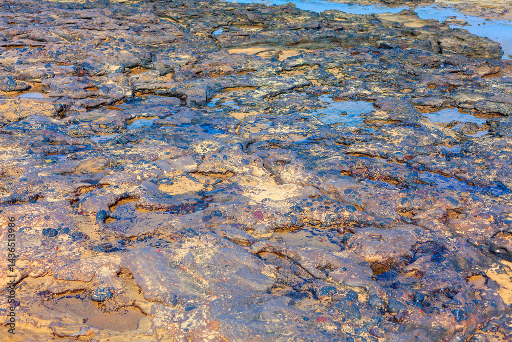 Rocky terrain with puddles of water, suggesting a coastal or tidal area. Contrasting textures of wet and dry rocks, along with their varied colors, create a visually compelling and dynamic scene