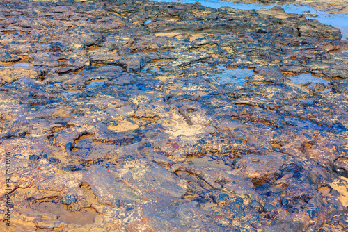 Obraz na płótnie Rocky terrain with puddles of water, suggesting a coastal or tidal area. Contrasting textures of wet and dry rocks, along with their varied colors, create a visually compelling and dynamic scene w salonie