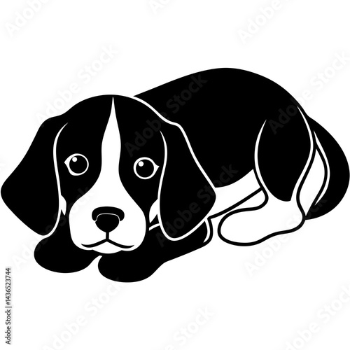 Beagle puppy lying down with head resting on paws, isolated on white, soft lighting
