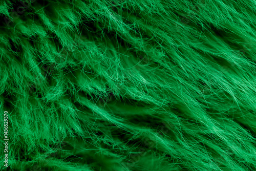 Obraz na płótnie green fluffy cloth textured background w salonie