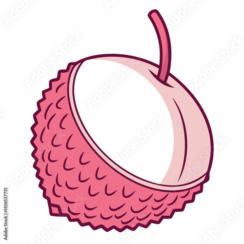 Pink Lychee Fruit Illustration