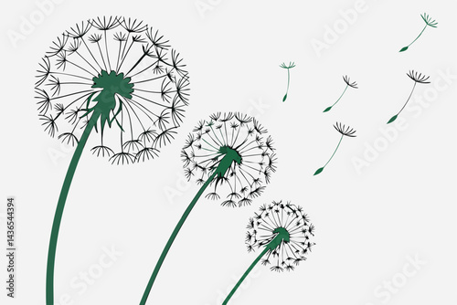 76 Macro photography, three dandelion seed heads, delicate fluffy white seeds, ethereal, dreamy atmosphere, soft focus, high contrast, green stems, intricate details, nature close-up, light background