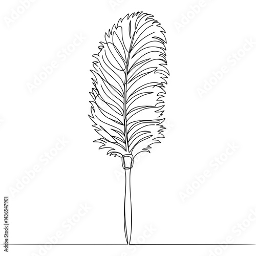 Line Drawing Ostrich Feather on Transparent Background  