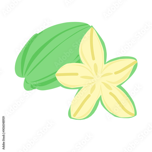 design vector doodle art illustration of fruty nature and healty food