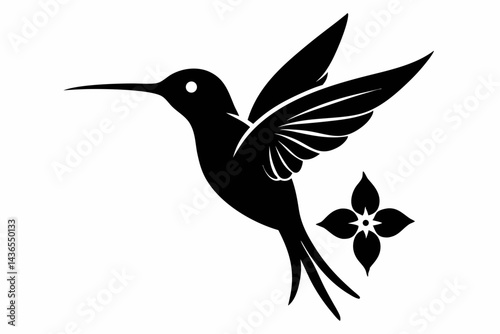 vector illustration of an hummingbird