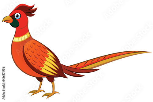 pheasant isolated on white background.