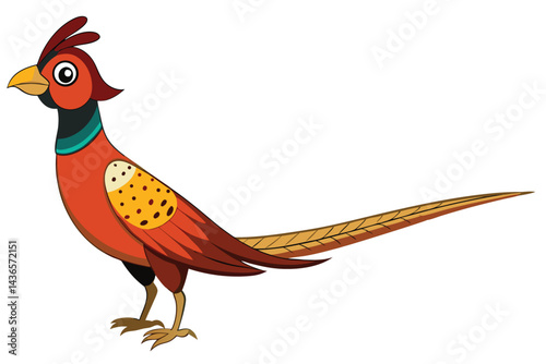 pheasant isolated on white background.