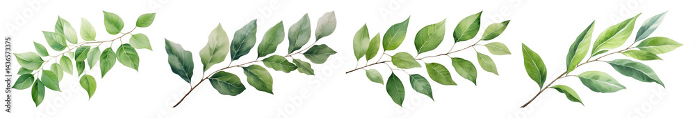 Fototapeta premium PNG Green leafy watercolor branches, element set on transparent background