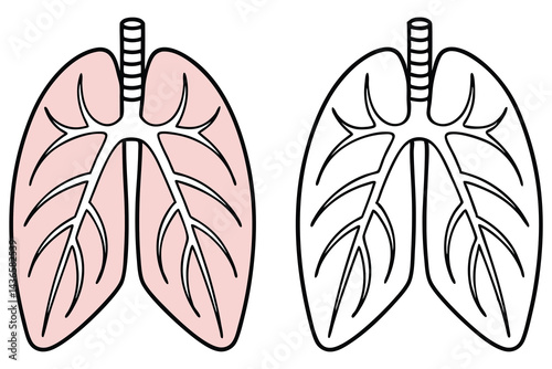 Cartoonish Lungs with Pink Color and Lungs with Black Outline Isolated on White