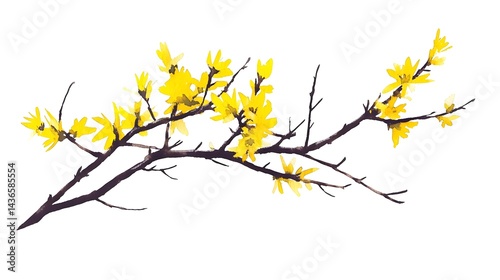 Vibrant Yellow Flowers on Branch with White Background Artistry