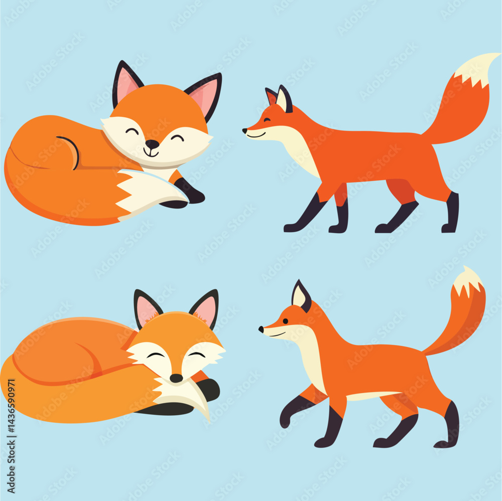 Obraz premium Cute fox