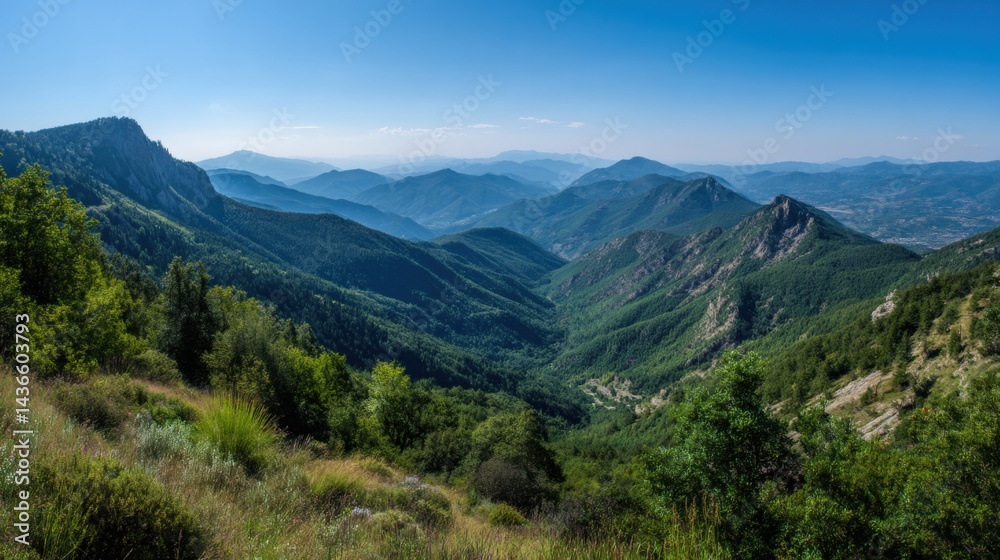 Mountain landscape with wild greenery under clear blue sky, panoramic view