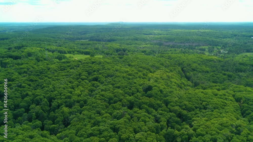 Aerial view flying over forest as far as the eye can see on a sunny day in the summer. Aerial view flying over forest as far as the eye can see on a sunny day in the summer.