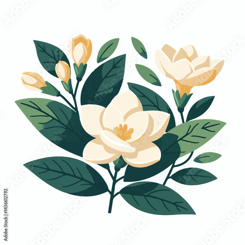 plant, flower, blossom, floral, garden, background, white, isolated, nature, gardenia, leaf, spring, beautiful, petal, closeup, beauty, jasmine, green, fresh, summer, flora, design, decoration, illust