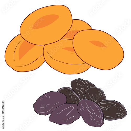 Dried Apricots and Raisins Healthy Snack Illustration

