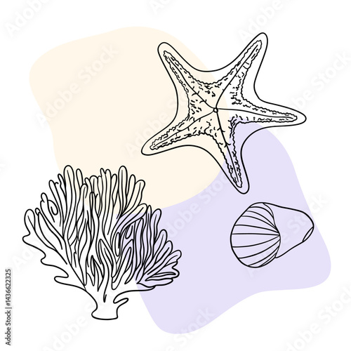 Underwater sea nature plant, Seastar, coral and algae. Tropical aqua marine sketch.  Hand drawn line art collections 