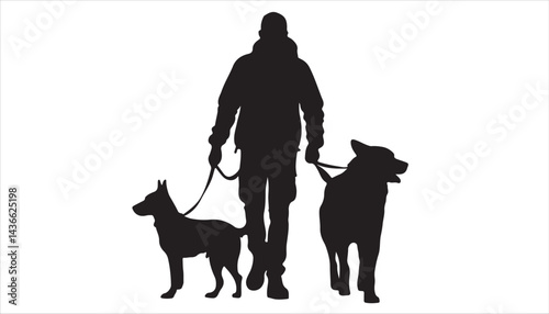 A Silhouette of a man walking dogs