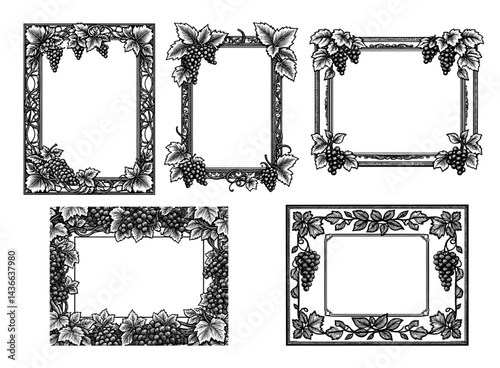 Ornate grapevine frames with leaves in black and white vintage style for harvest and winemaking themes